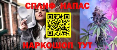 гидра Будённовск