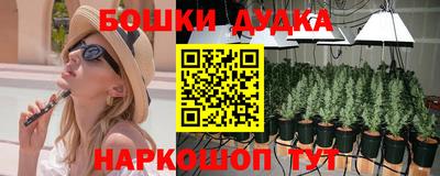 гидра Будённовск