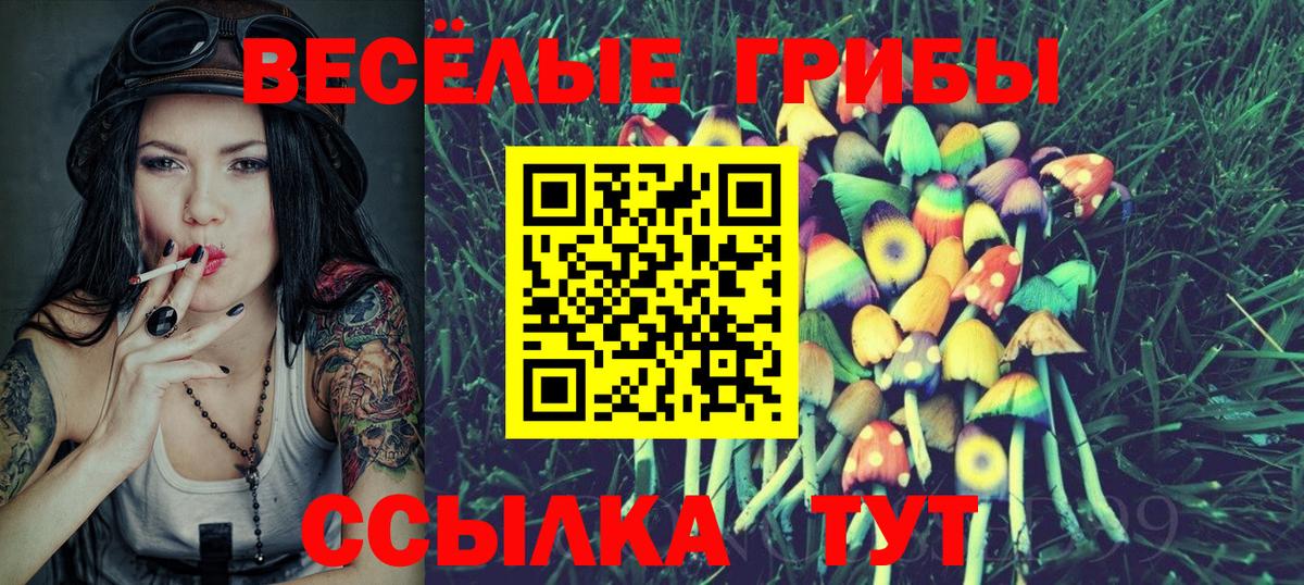 Северск  Галлюциногенные грибы прущие грибы  Псилоцибиновые грибы MAGIC MUSHROOMS  Вход с VPN 