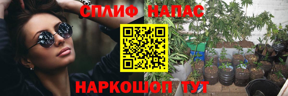 Бошки Шишки VHQ Северск